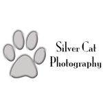 Silver Cat Photography