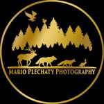 mario-plechaty-photography